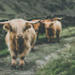 Meet your Posher, Aubrey